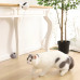 Electric Automatic Lifting Cat Ball Toy 