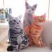 3D Simulation Cat Shaped Pillow plush