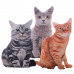 3D Simulation Cat Shaped Pillow plush