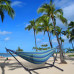 Portable Outdoor Polyester Hammock Set - Blue & Green